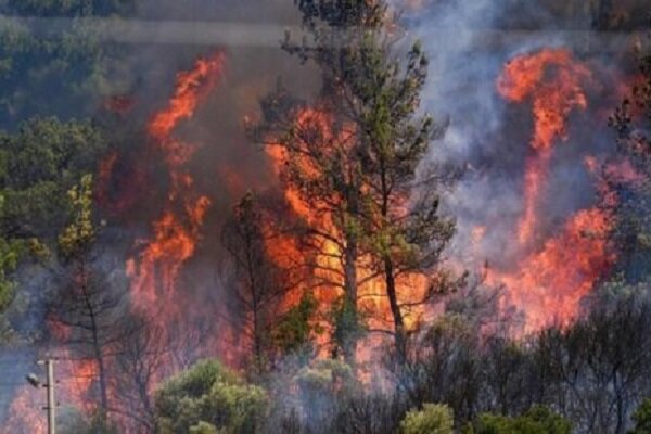 آتش در دو نقطه گرگان شعله‌ور شد؛ منابع طبیعی گلستان در آماده‌باش کامل
