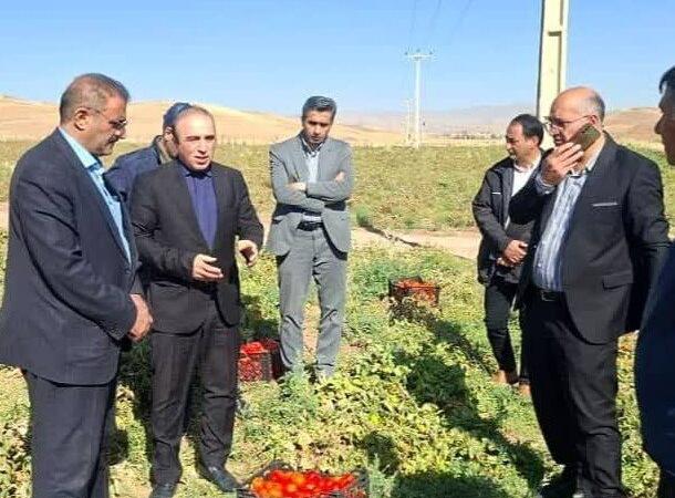 خلیلی: ۶۱ طرح اشتغال‌زایی و سرمایه‌گذاری در شهرستان کوثر تصویب شد