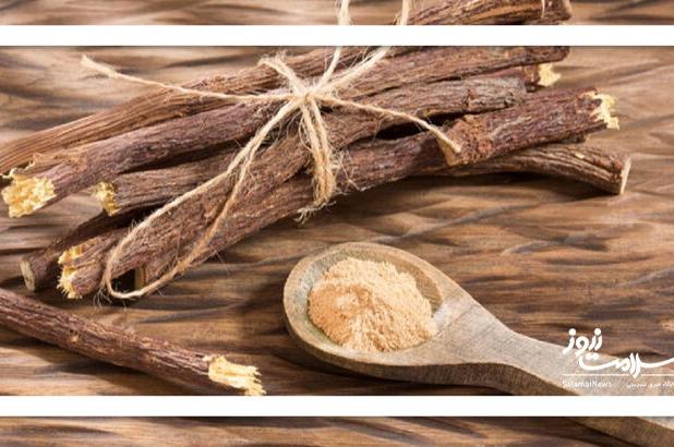 شیرین بیان؛ گیاهی تلخ با مزه‌ای شیرین برای سلامت بدن
