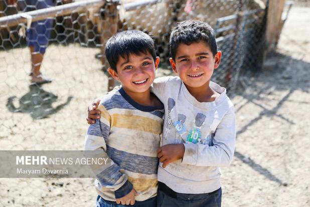 دانای عزیزی: کوچ قشلاقی عشایر شیروان آغاز شد