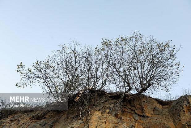 دگردیسی یک شکارچی به محافظ طبیعت