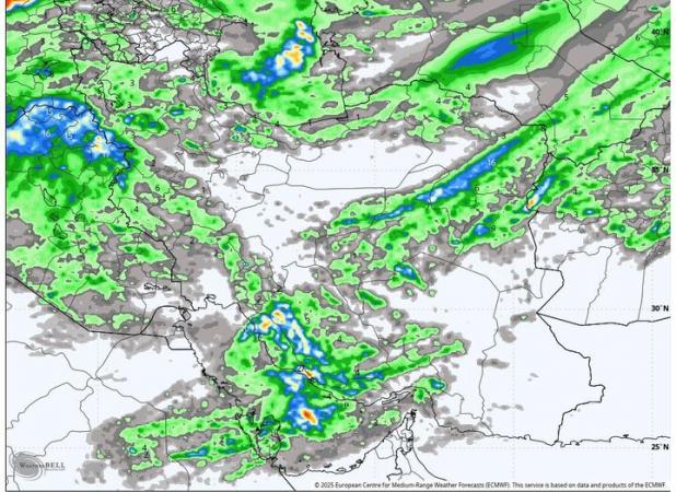هشدار قرمز در یک استان؛ نفوذ سرمای شدید و خطر سرمازدگی محصولات کشاورزی