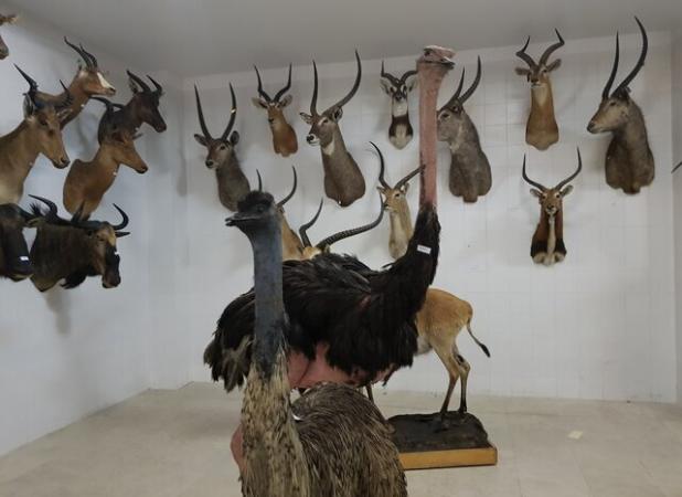 خراسان شمالی صاحب موزه تاریخ طبیعی می‌شود؟