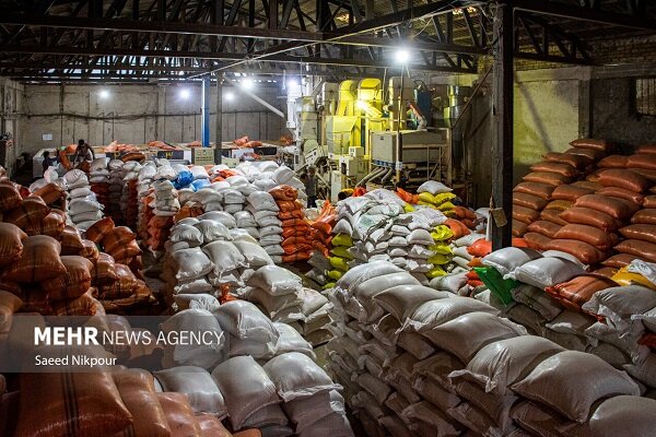 کلید کاهش قیمت برنج در دست سازمان برنامه