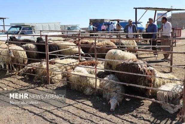 پویش « نذر سالم» در مازندران به راه افتاد