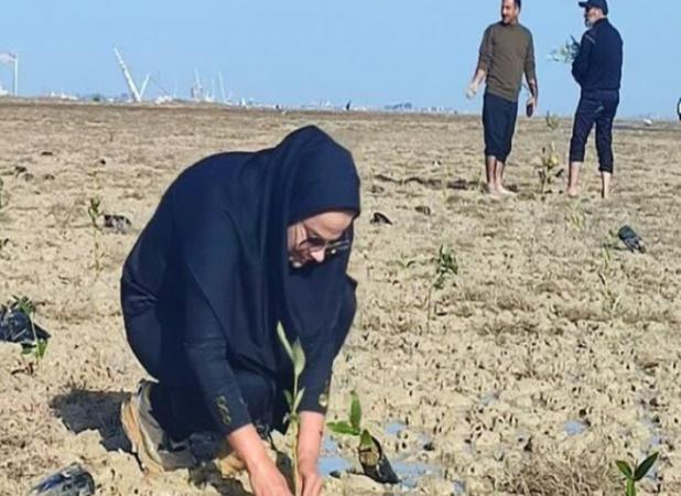 کاشت ۲۵۰۰ نهال در بوشهر در قالب پویش «به نیت حاج قاسم»