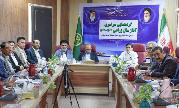 امسال ۱۲۰ هزارهکتار اراضی کشاورزی سیستان وبلوچستان زیر کشت پاییزه می‌رود