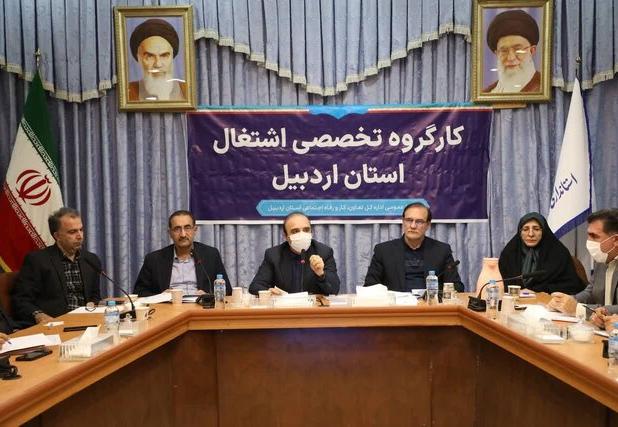 تخصیص ۳۵۰میلیارد تومان تسهیلات مشاغل خانگی در اردبیل