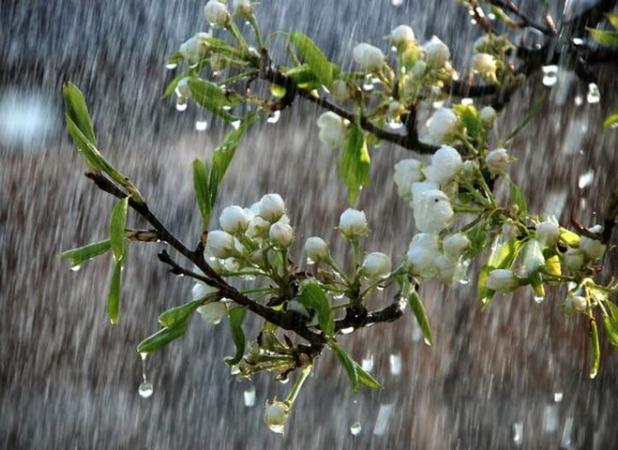 دمای اصفهان تا ۱۲ درجه کاهش می‌یابد/آغاز بارش رگباری در غرب استان