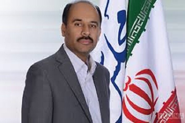 هاشمی نخل ابراهیمی خواستار شفافیت در علت یابی شد