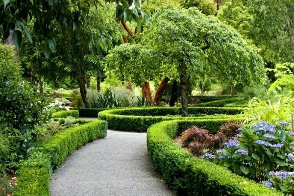 حضور درفضاهای سبز باعث رشد بهتر مغز کودکان می‌شود