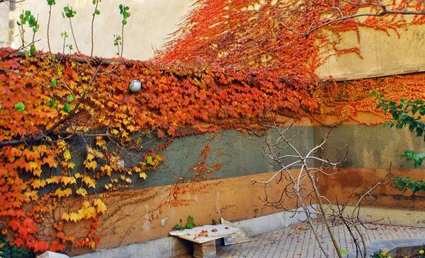 کاهش دما تا 8 درجه در شمال شرق کشور