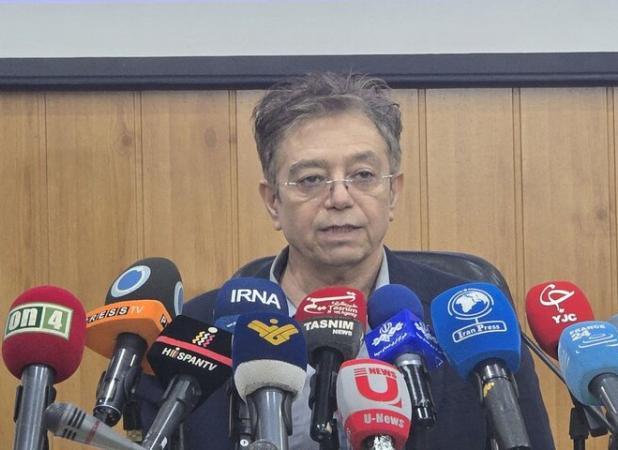 هشدار پژوهشگر رویان درباره تعویق فرزندآوری