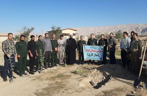 ۳۰۰ نهال به یاد شهدای اقتدار در دهلران غرس شد