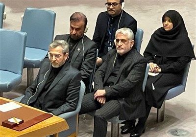 باقری در نشست شورای امنیت: حمایت ایران از مقاومت، مشروع است