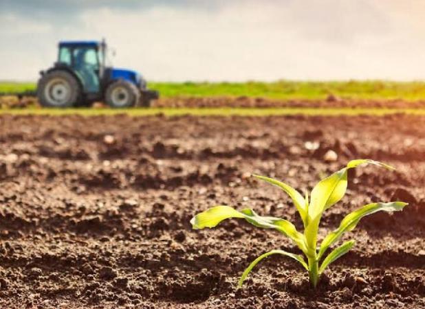 اصلاح الگوی کشت ضرورتی اجتناب ناپذیر