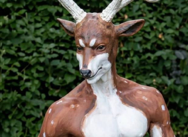 مرد گوزن‌نما در آمریکا به اشتباه شکار شد!