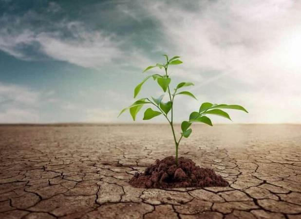 رئیس جهاد کشاورزی کرمانشاه: باید برنامه‌ای جامع برای کشاورزی در شرایط خشکسالی داشته باشیم