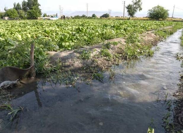 تداوم روش های سنتی در آبیاری به کم آبی دامن می زند