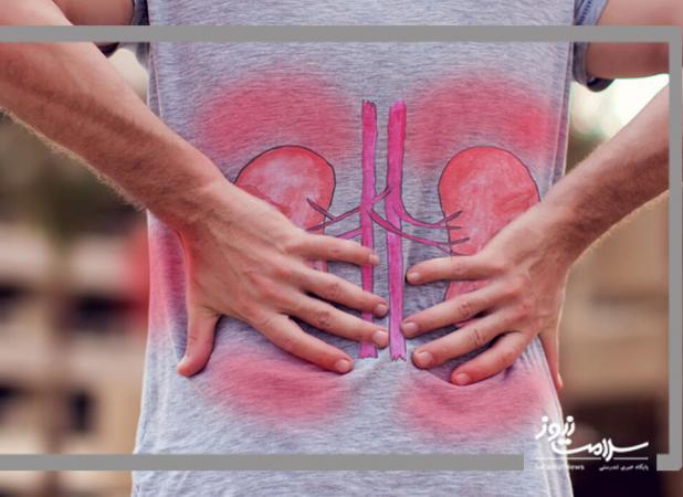 هشدار تابستانی برای کلیه‌ها | کم‌آبی، خطری خاموش در روزهای داغ