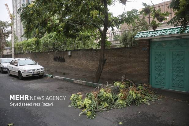 صدور هشدار نارنجی هواشناسی؛ وزش باد خیلی شدید و احتمال طوفال در تهران