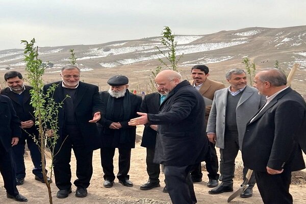 ۵۰۰۰۰ هکتار به فضای سبز تهران اضافه شد