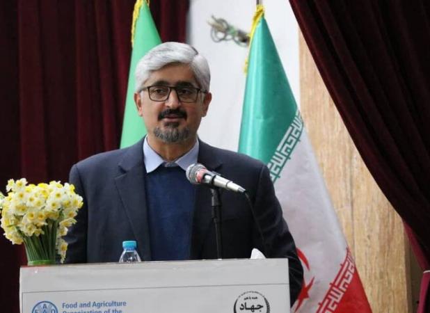 بهجت حقیقی: تشکل‌ها بازوی توانمند جهاد کشاورزی در تنظیم بازار هستند