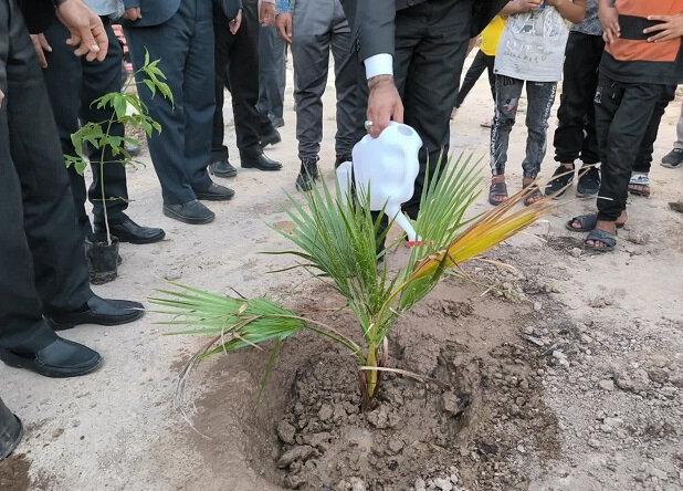 مراسم درختکاری در بوشهر برگزار شد