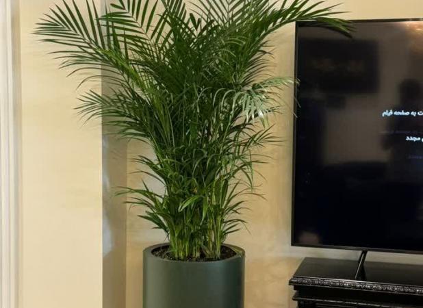 راهنمای جامع خرید گلدان؛ مدل‌های فایبرگلاس و فلزی