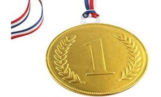 کسب مدال طلای کشوری المپیاد علوم زمین توسط دانش‌آموز لاری