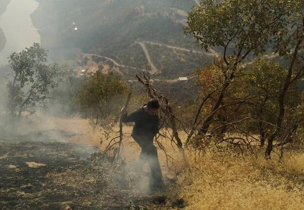 شبی میان برف و آتش؛ آنچه در آتش «الیت» به امید صبح می‌گذرد