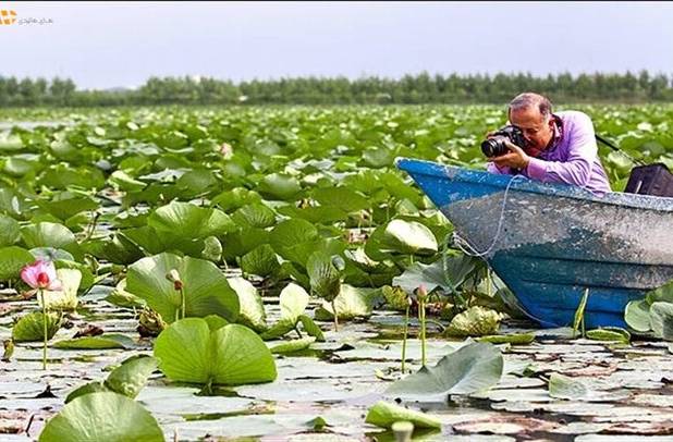 معاون گردشگری استان: حد و حدود مناطق نمونه گردشگری کرمانشاه مشخص می‌شود