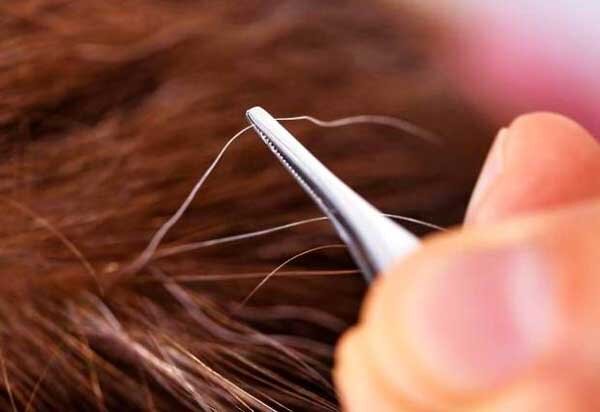 آیا می‌توان جلوی سفید شدن موها را گرفت؟