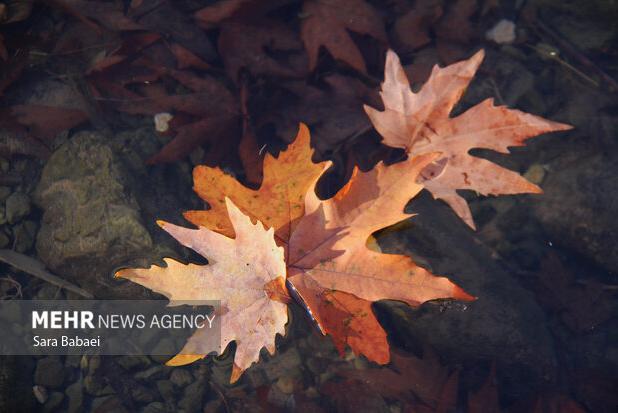 کریمی: وضعیت هوای آذربایجان غربی تا اواسط هفته پایدار می ماند