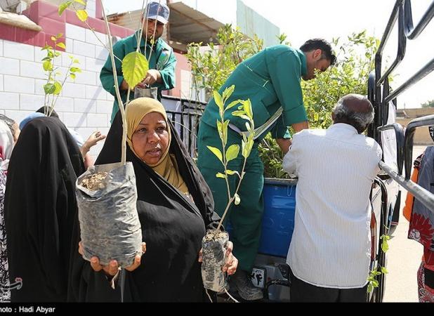 نهال رایگان در مسیر راهپیمایی ۲۲ بهمن توزیع می‌شود