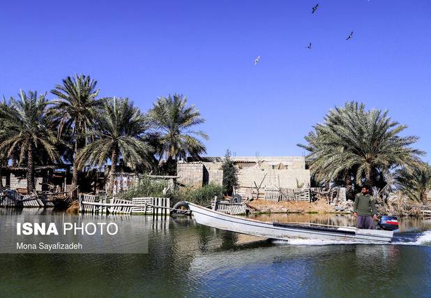 أبگیری ۴۰۰۰ هکتار از تالاب بامدژ/ احیای ۵۰۰ هکتار از تالاب شادگان