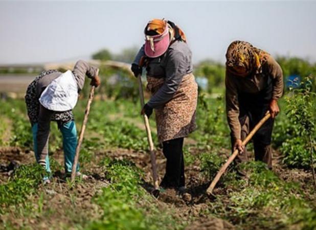 سهم 31 درصدی صنعت در اشتغال روستانشینان