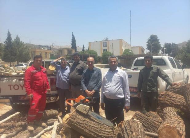 متخلف قطع درختان چنار در تنگ سریز شهرستان بویراحمد دستگیر شد