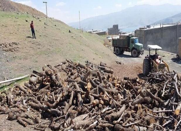 باقری: مقابله با قاچاقچیان چوب در مازندران تشدید می‌شود