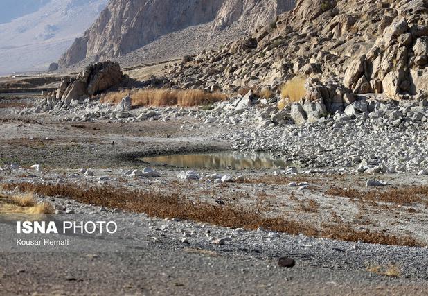 یک مسئول: آب تا حدودی به تالاب «هشیلان» برگشته است