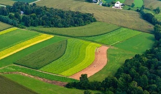 رئیس کل دادگستری: بیش از ۲۰۰۰ هکتار از اراضی ملی مازندران رفع تصرف شد