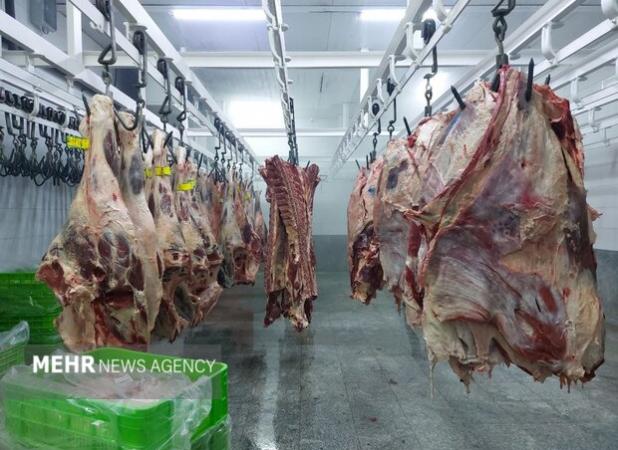 روز ملی دامپزشکی؛ از وضعیت ارتقا کیفیت تا تضمین سلامت محصولات دامی