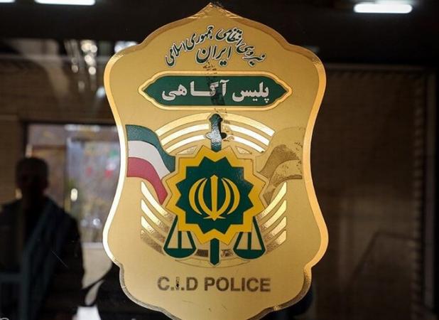 پیگیری ویژه پلیس در پرونده گم شدن «الهه حسین نژاد» در تهران