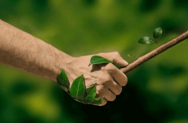 ضرورت توجه به «مصرف‌گرایی سبز» در تجربه گردشگری