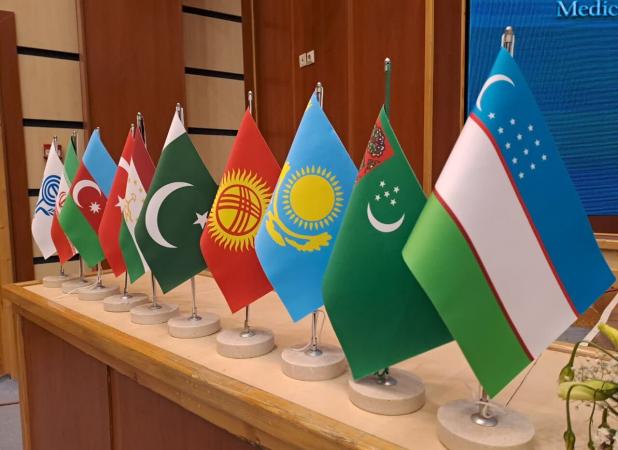 سازمان اکو تجاوز رژیم صهیونیستی را محکوم کرد