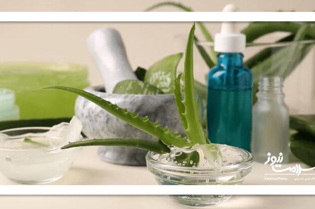 گیاه معجزه‌گر اما خطرناک