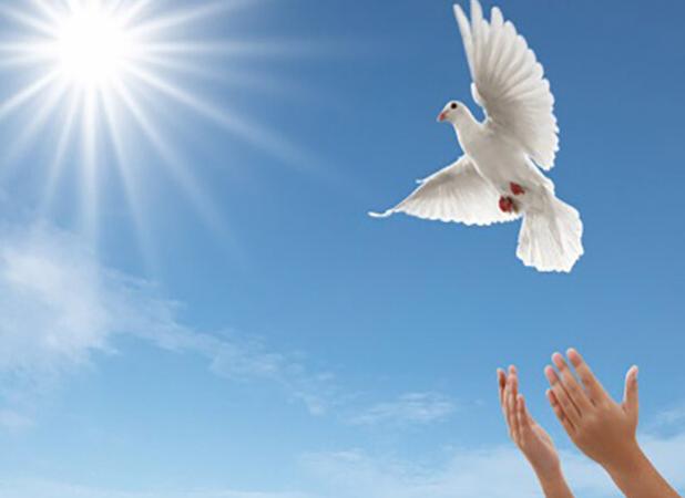 مادر اردبیلی جوان نادم را از پای چوبه دار نجات داد