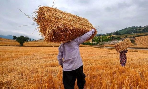 راهکار پرداخت صدها هزار میلیارد تومان پول خرید تضمینی گندم و کالاهای اساسی