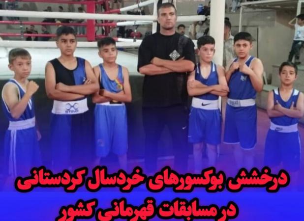 درخشش بوکسورهای خردسال کردستانی در مسابقات قهرمانی کشور