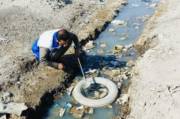 ضرورت پیشگیری از تکثیر پشه‌های ناقل بیماری پس از بارندگی‌ در سیستان و بلوچستان